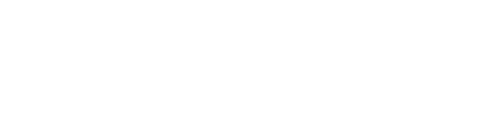 Romeé wordmark in white on Espresso